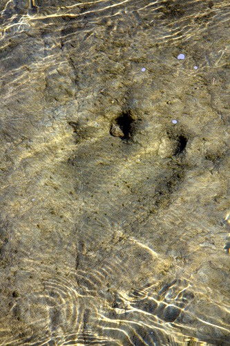 Dinosaur Valley